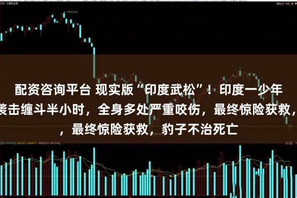 配资咨询平台 现实版“印度武松”！印度一少年回家时被豹子袭击缠斗半小时，全身多处严重咬伤，最终惊险获救，豹子不治死亡