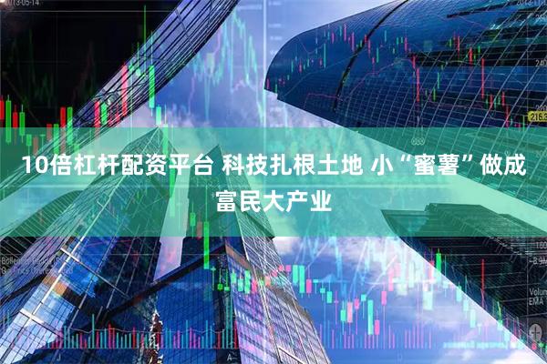 10倍杠杆配资平台 科技扎根土地 小“蜜薯”做成富民大产业
